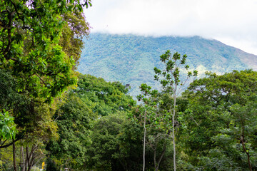 Parque del este Caracas Venezuela