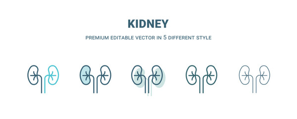 kidney icon in 5 different style. Outline, filled, two color, thin kidney icon isolated on white background. Editable vector can be used web and mobile