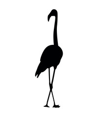 Obraz premium Vector flat flamingo silhouette isolated on white background
