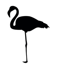 Vector flat flamingo silhouette isolated on white background
