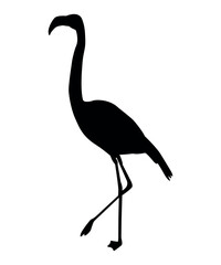 Fototapeta premium Vector flat flamingo silhouette isolated on white background