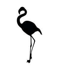 Fototapeta premium Vector flat flamingo silhouette isolated on white background
