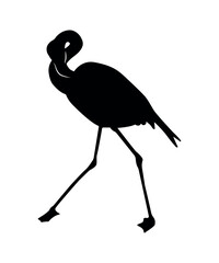 Vector flat flamingo silhouette isolated on white background