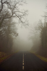 Carretera hacia la niebla 