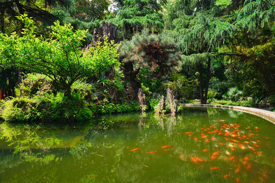 Pond in Wangjiang Pavilion (Wangjiang Tower) in Wangjianglou Park. Chengdu, Sichuan, China
