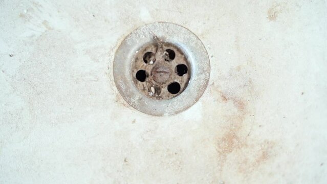 Dirty bathroom drain clogged with hair and dirt, close-up