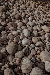 Round white stones on the shore of the Barents Sea, dragon eggs