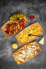 Street food plate with french fries. Unhealthy tasty fried potatoes with beef stew and mayonnaise