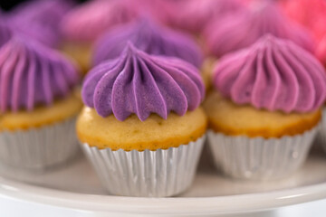 Mini Vanilla Cupcakes with Pink Buttercream Frosting