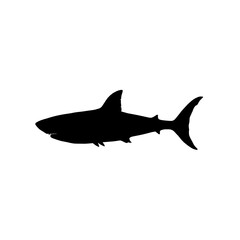 shark silhouette isolated on white