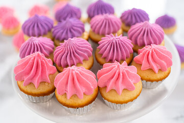 Mini Vanilla Cupcakes with Pink Buttercream Frosting