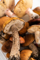 Wild mushrooms