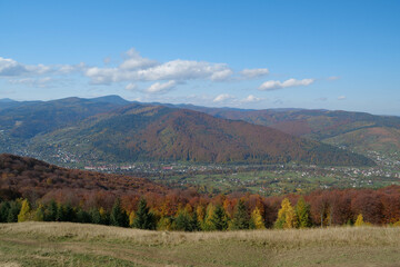Fototapeta na wymiar Beautiful autumn forest in Carpathian mountains