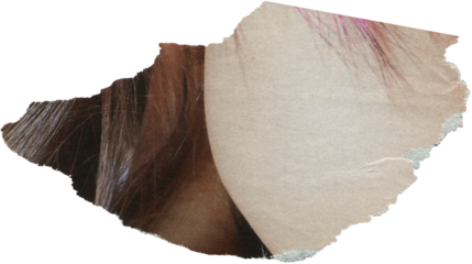 Light textured scrap of magazine paper	
