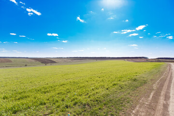 spring grass field and mountains, beautiful background, green grass, beautiful sky over the field

