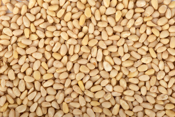 Full frame of shelled pine nuts as background.