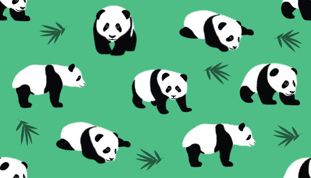 Set of realistic adult giant pandas bears and their cubs. Animals of China. panda illustrations set. Vector seamless pattern with hand drawn pandas. Cute characters, beautiful design elements, perfect