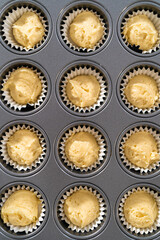 Mini Vanilla Cupcakes with Pink Buttercream Frosting