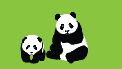 Mother panda with cute baby Black and white linear hand drawn panda bear vector illustration on colorful background.