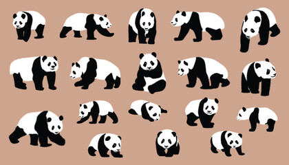 Fototapety  cute panda Vector illustration isolated on colorful Set of cute big pandas in different poses. flat vector illustration design