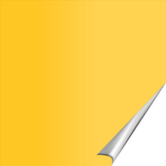 wallpaper icon vector, illustration, symbol