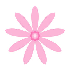 Pink flowers with nine petals.
