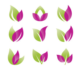 modern elegant leaf icons set