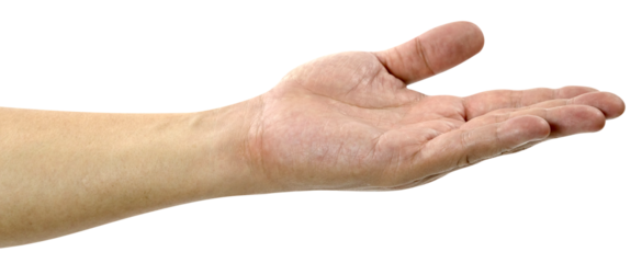 open the palm of the hand isolated