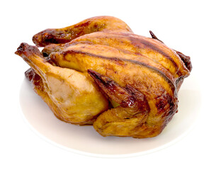 roasting chicken isolated