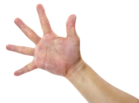 Asians open hand isolated