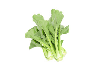 Chinese kale vegetable transparent png