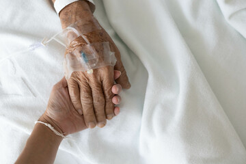 inpatient hand holding from relative or family, palm of an old man clasp his family member for energy support while stay in hospital for modern and high technology medical treatment by skillful doctor