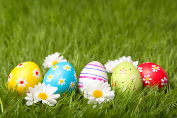 Fototapeta na wymiar colorful easter eggs in the grass with daisies