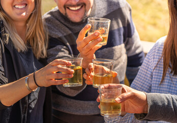 Detail of the hands of a group of four friends clinking their glasses smiling of white wine and toasting to be together again on a sunny day by lighting up their glasses.