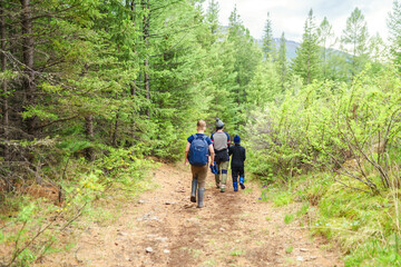 Obraz premium Hiking in the forest 