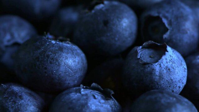 Up Close and Personal with Delicious Blueberries.