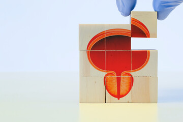 Bladder and prostate stamped on wooden cubes, HTA. Prostate cancer, bladder cancer, men's health...