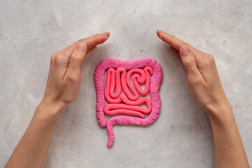 Human intestines colon organ shape with woman hands. Bowel disease concept