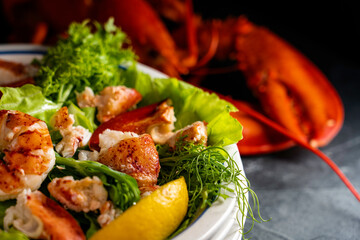 Lobster salad on a bed of mixed salad greens.
