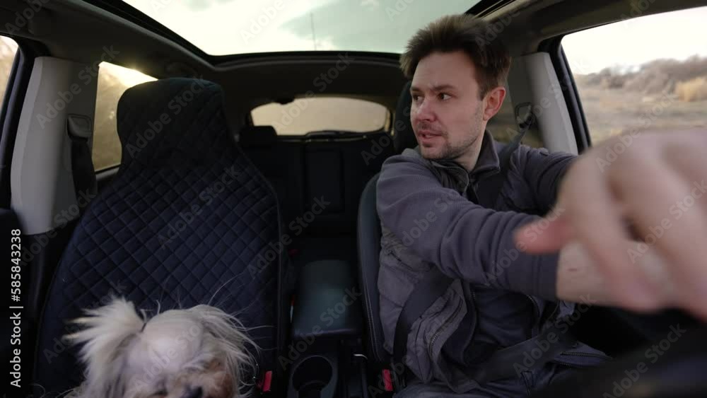 Poster Man driving car offroad at sunny day interior view, shih tzu dog on second seat