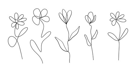 Set of Monoline Flowers
