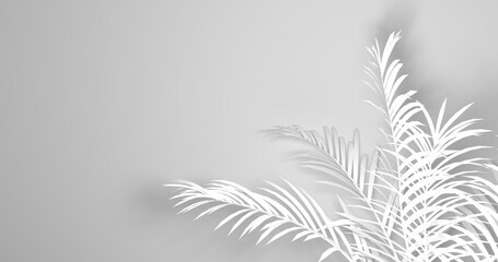 coconut tree branch shadows, silhouette on white background, black and white background, abstraction, 3d render