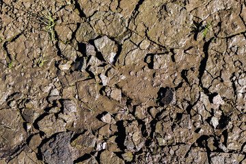 cracks in the ground