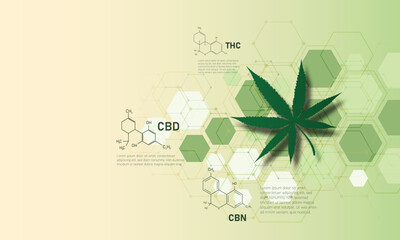 molecular structure medical chemistry formula cannabis of the formula CBD,vector illustration.