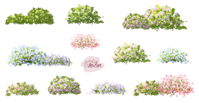 set of flowers,Vector watercolor blooming flower tree side view isolated on white background for landscape and architecture drawing, elements for environment and garden,botanical elements for section 