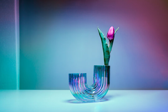 Purple tulip in a rainbow holographic glass vase on gradient background. Floral bouquet of fresh flower on turquoise, pink background with colorful neon light and color shadows. Selective focus.