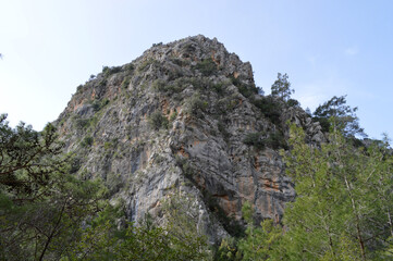 Mountain in the forest of Goynuk canyon, Turkey