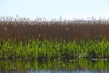 Beautiful landscape of Lake Vrana, Croatia.