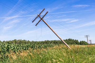 old wooden pole on a field with green grass