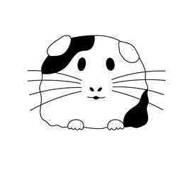Vector isolated one single cute cartoon spotted guinea pig  front view portrait colorless black and white contour line easy drawing